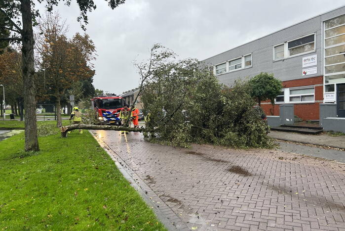 Omvallende boom beschadigd personenauto