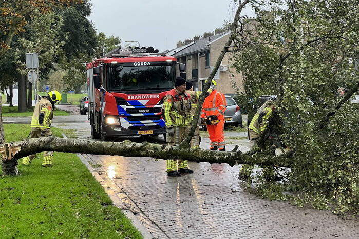 Omvallende boom beschadigd personenauto