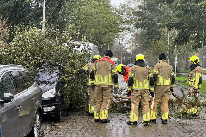 Omvallende boom beschadigd personenauto