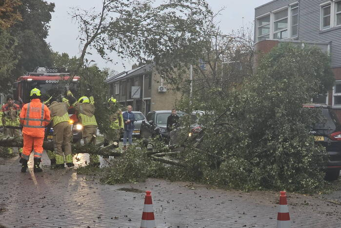 Omvallende boom beschadigd personenauto