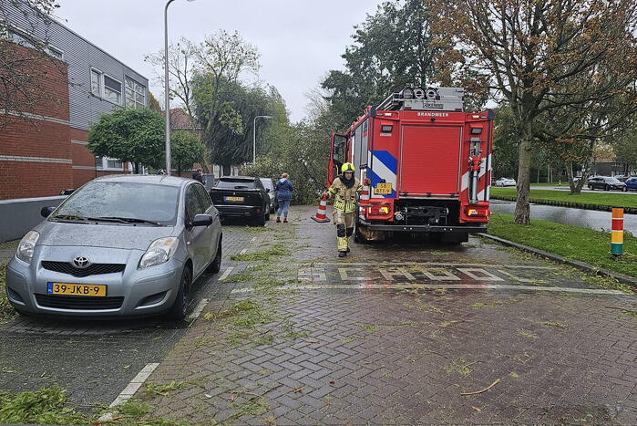 Omvallende boom beschadigd personenauto