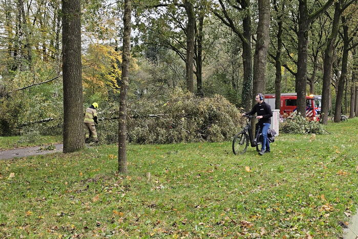 Meerdere omgevallen bomen versperren fietspad