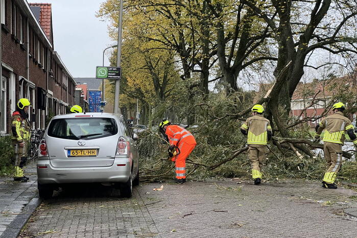 Grote tak valt uit boom auto beschadigd
