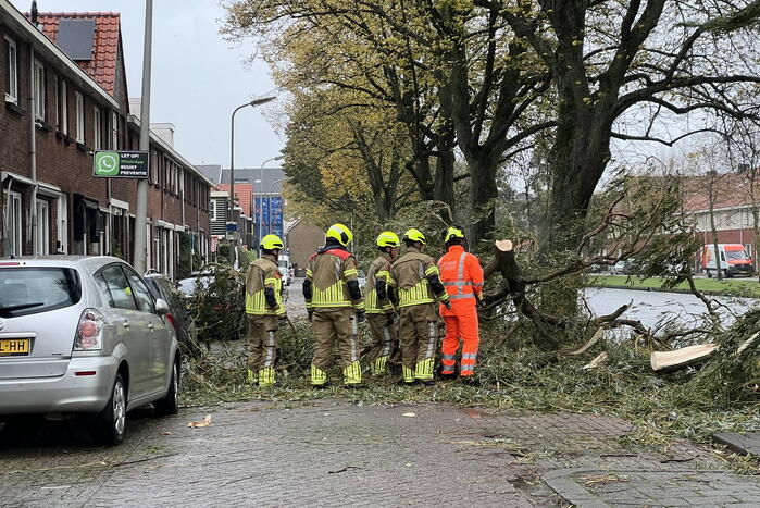 Grote tak valt uit boom auto beschadigd