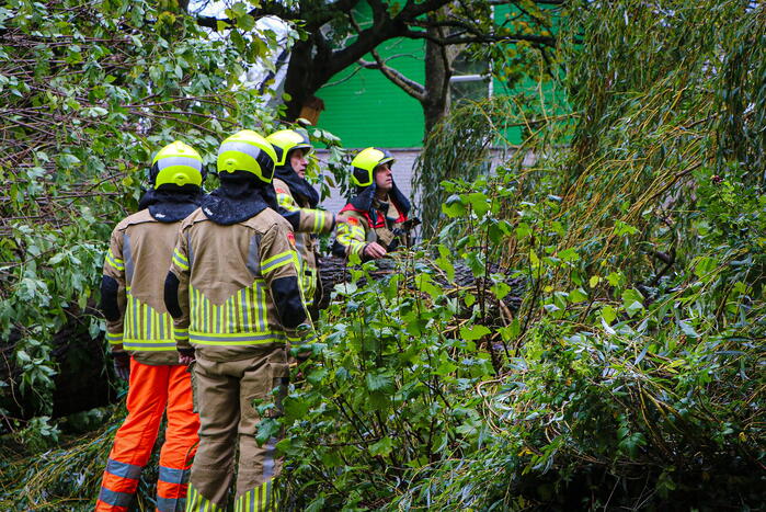 Grote boom omgevallen tegen flat