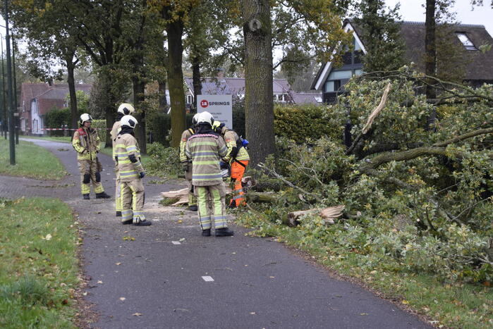 Autoladder ingezet voor gevaarlijk hangende tak