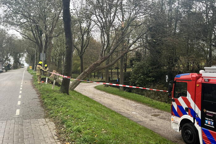 Gasleiding geraakt door omgevallen boom