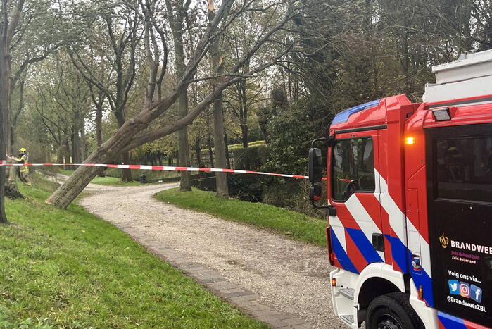 Gasleiding geraakt door omgevallen boom