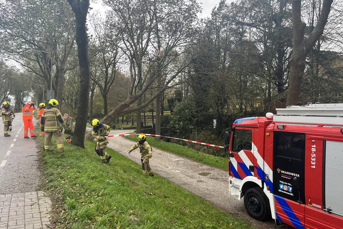 Gasleiding geraakt door omgevallen boom
