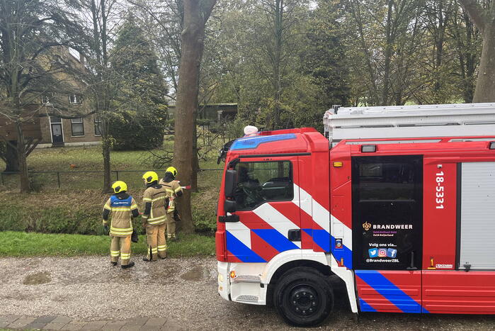 Gasleiding geraakt door omgevallen boom