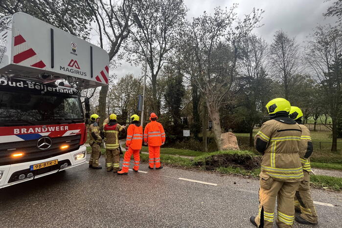 Gasleiding geraakt door omgevallen boom