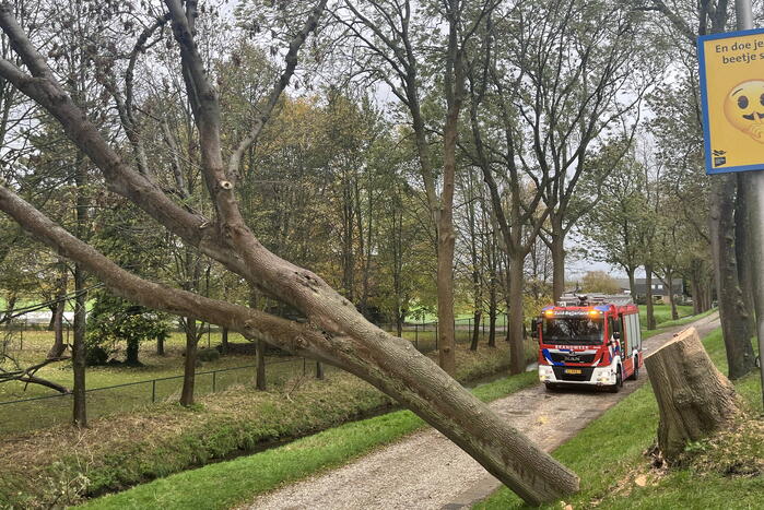 Gasleiding geraakt door omgevallen boom