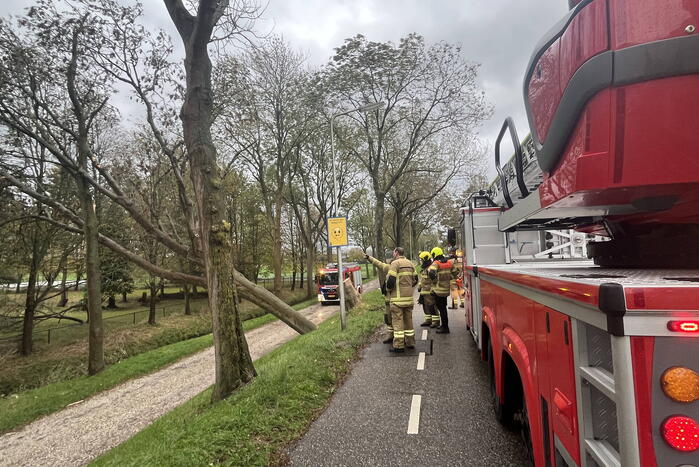Gasleiding geraakt door omgevallen boom