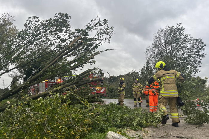 Brandweer verwijdert boom van weg
