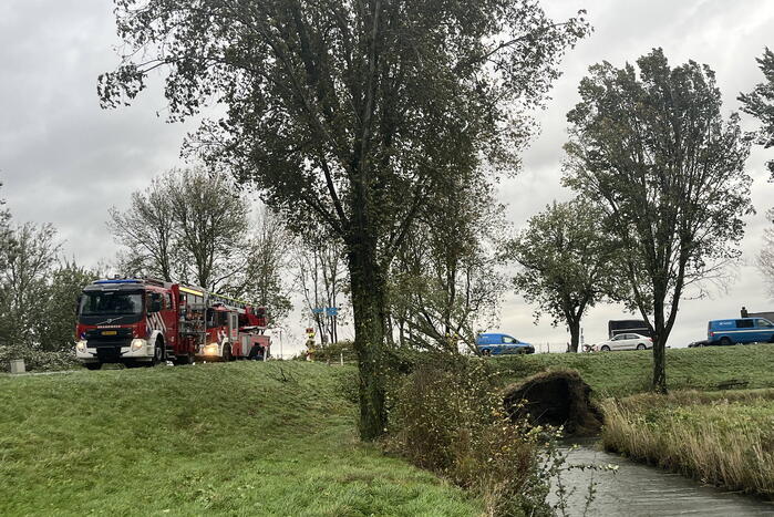 Brandweer verwijdert boom van weg