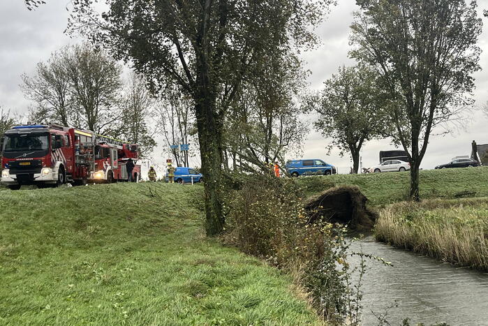 Brandweer verwijdert boom van weg