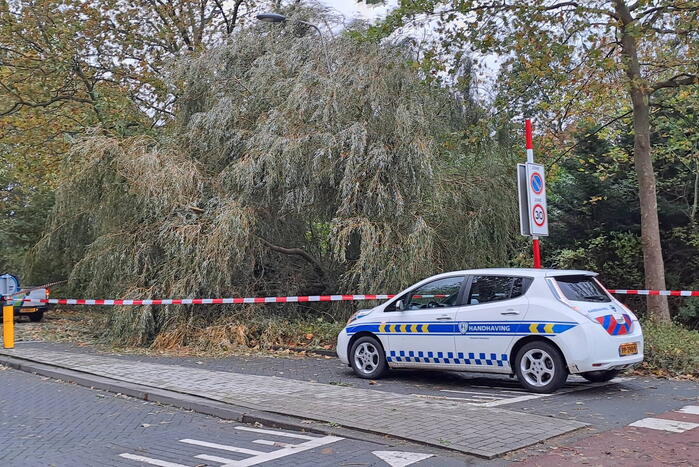 Weg verspert door omgevallen boom