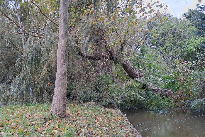 Weg verspert door omgevallen boom