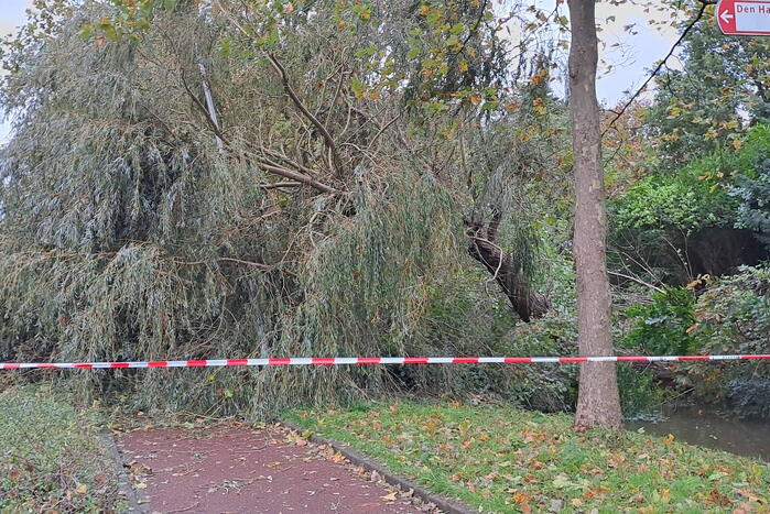 Weg verspert door omgevallen boom