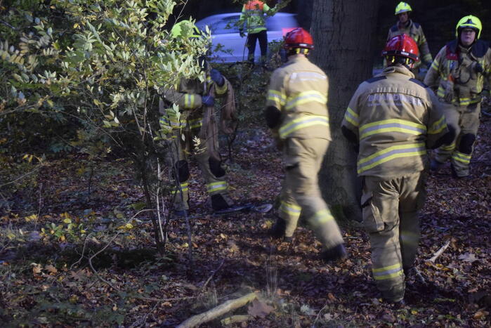 Boom dreigt op weg te vallen