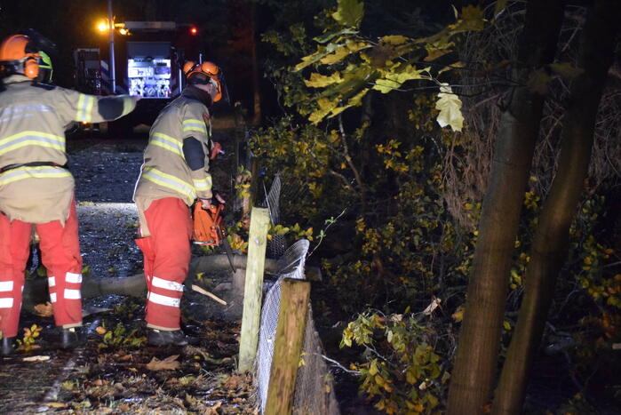 Boom dreigt op weg te vallen