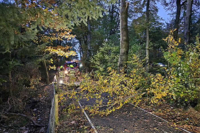 Boom dreigt op weg te vallen