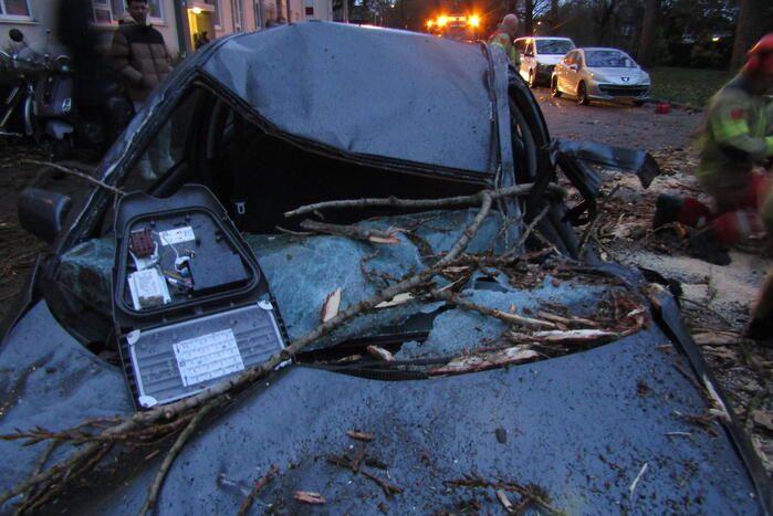 Auto zwaar beschadigd door omgevallen boom