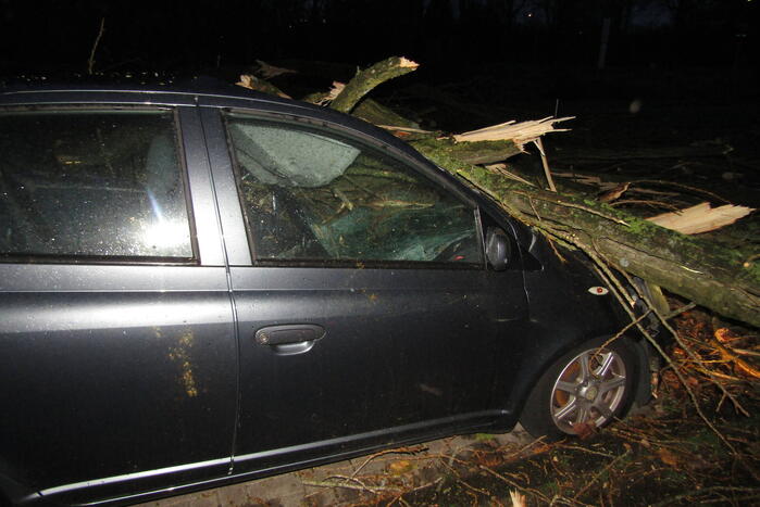 Auto zwaar beschadigd door omgevallen boom