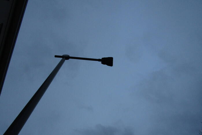 Auto zwaar beschadigd door omgevallen boom