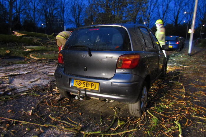 Auto zwaar beschadigd door omgevallen boom