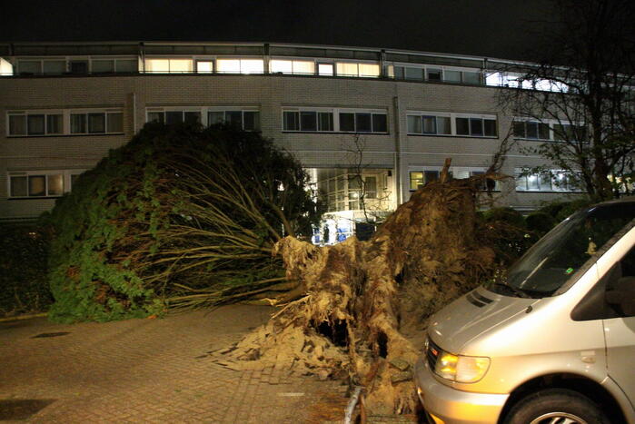 Gigantische boom valt om voor ingang van gebouw