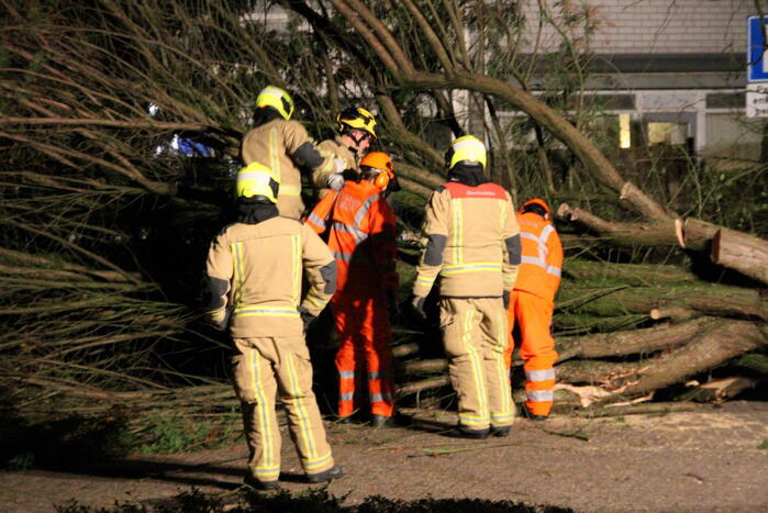 Gigantische boom valt om voor ingang van gebouw