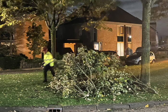 Deel van boom komt op straat terecht door harde wind