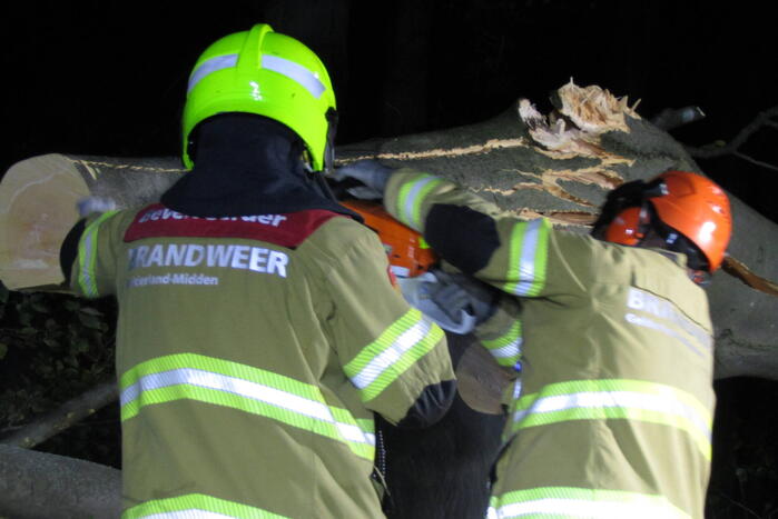 Afgebroken tak verspert weg