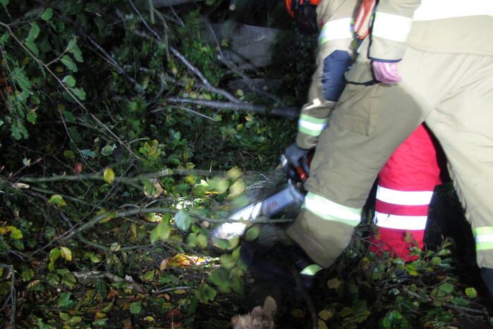 Afgebroken tak verspert weg