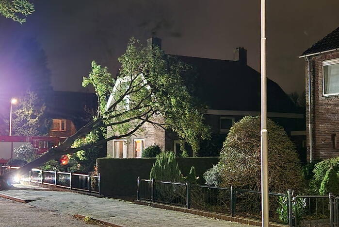 Boom belandt tegen woning door storm