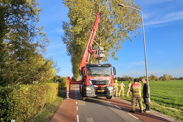 Brandweer ingezet voor gevaarlijk hangende tak