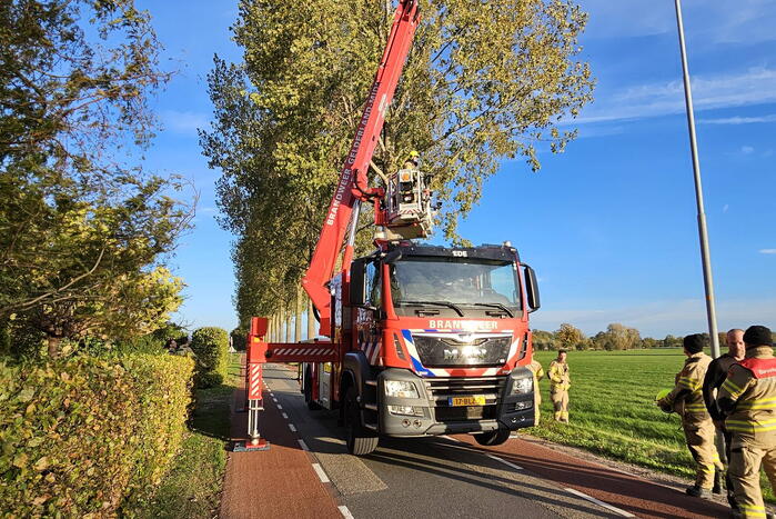 Brandweer ingezet voor gevaarlijk hangende tak
