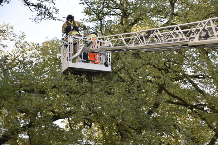 Brandweer verwijdert loshangende tak