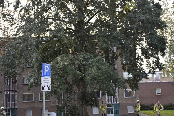 Tak van grote boom breekt af