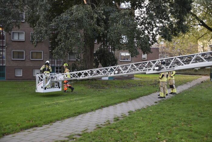 Tak van grote boom breekt af