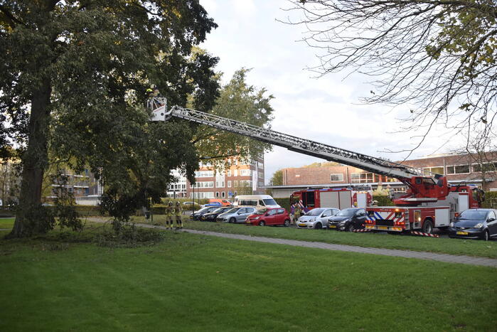 Tak van grote boom breekt af