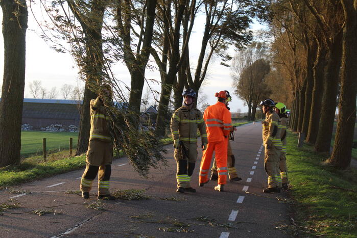 Brandweer ingezet voor afgebroken tak