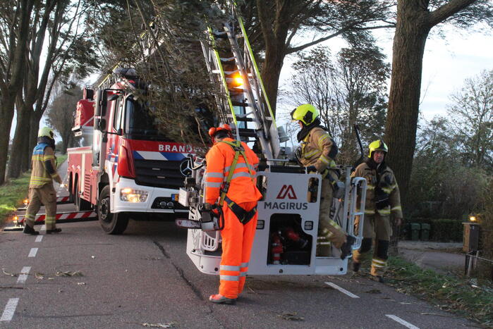 Brandweer ingezet voor afgebroken tak