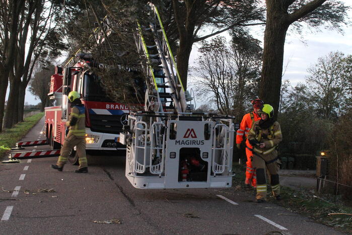 Brandweer ingezet voor afgebroken tak