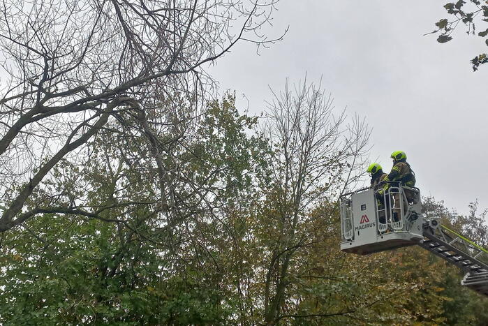 Brandweer verwijdert gevaarlijk hangende tak