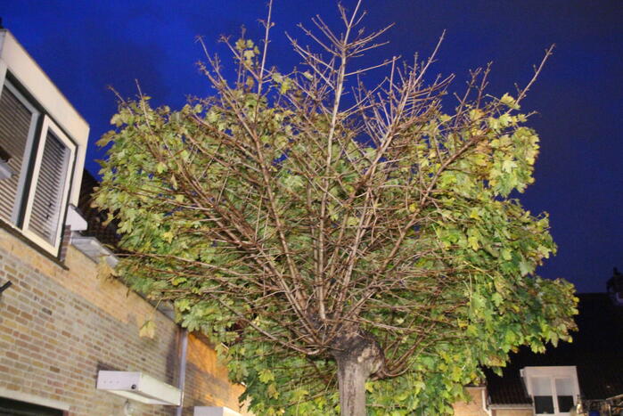 Meerdere woning zonder stroom door blikseminslag