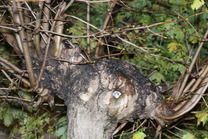 Meerdere woning zonder stroom door blikseminslag