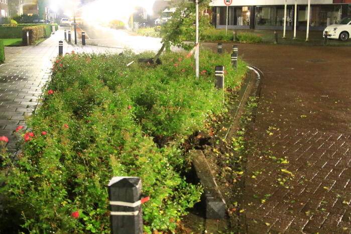 Automobilist botst op paal en boom
