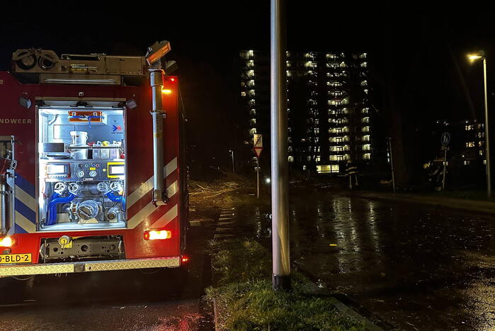 Grote tak breekt uit boom